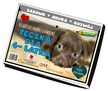 TECZKA DLA 6 LATKA- ZABAWA * NAUKA * ROZWÓJ (3)
