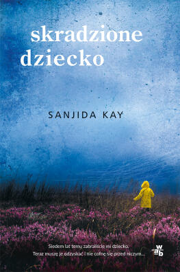Skradzione dziecko. Sanijda Kay
