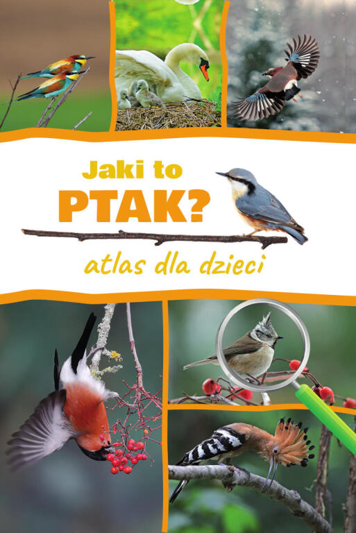 Jaki to ptak? Atlas dla dzieci (1)