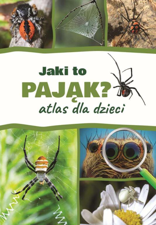 Jaki to pająk? Atlas dla dzieci (1)