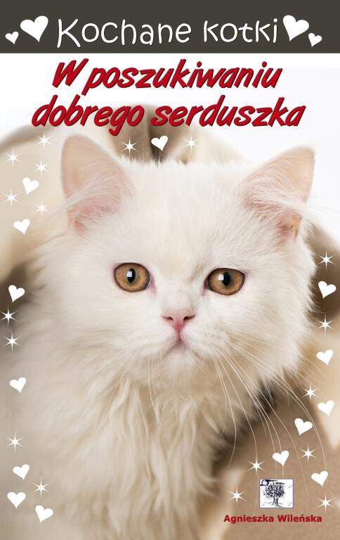 Kochane kotki. W poszukiwaniu dobrego serduszka (1)