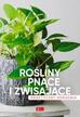 Rośliny pnące i zwisające. Poradnik praktyczny.